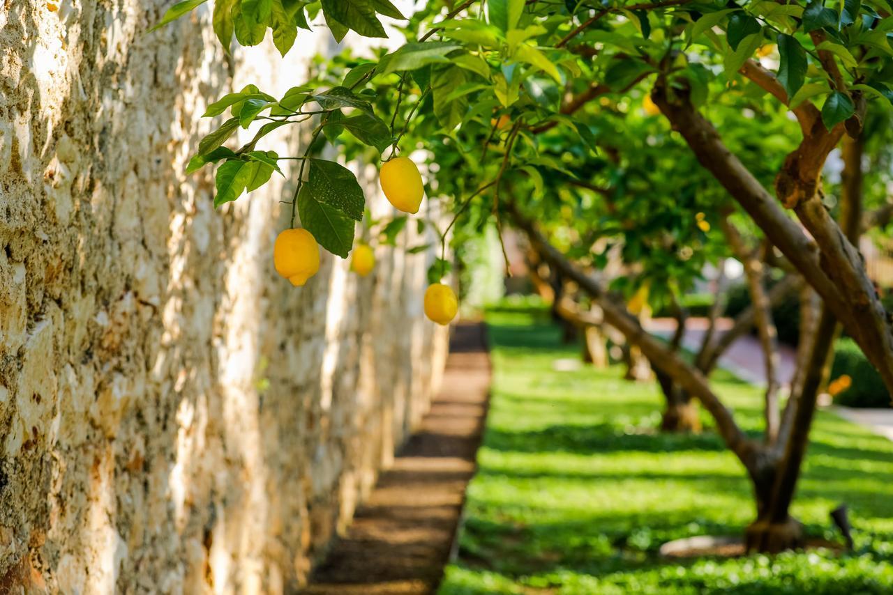 Hotel Lemongarden - Adults Only Сутіван Екстер'єр фото